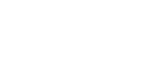 h300